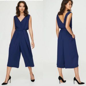 Aritzia Babaton Maximillian Jumpsuit